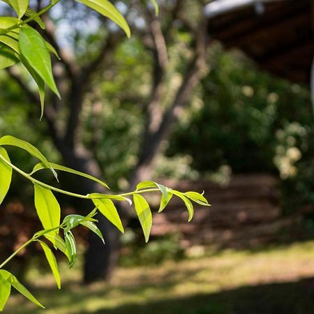 Clay House Banya Villa Banya  ภายนอก รูปภาพ
