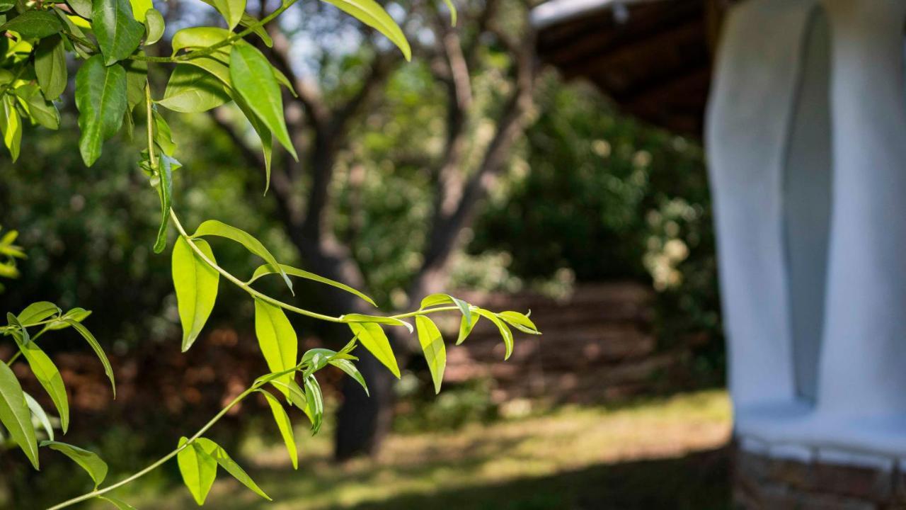 Clay House Banya Villa Banya  ภายนอก รูปภาพ